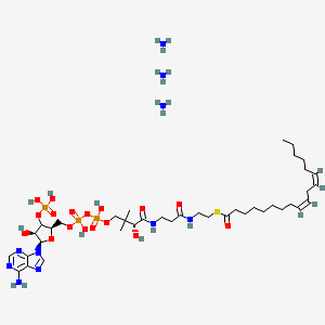 molecular formula C39H75N10O17P3S B12382627 S-[2-[3-[[(2R)-4-[[[(2R,4S,5R)-5-(6-aminopurin-9-yl)-4-hydroxy-3-phosphonooxyoxolan-2-yl]methoxy-hydroxyphosphoryl]oxy-hydroxyphosphoryl]oxy-2-hydroxy-3,3-dimethylbutanoyl]amino]propanoylamino]ethyl] (9Z,12Z)-octadeca-9,12-dienethioate;azane 