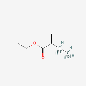 molecular formula C7H14O2 B12382645 Ethyl 2-methylbutanoate-13C2 