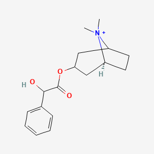 molecular formula C17H24NO3+ B1238272 2-羟基-2-苯基乙酸[(5S)-8,8-二甲基-8-氮杂双环[3.2.1]辛-3-基]酯 