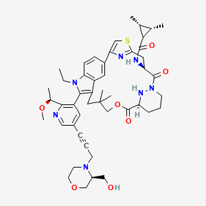 molecular formula C48H61N7O7S B12383019 pan-KRAS-IN-7 