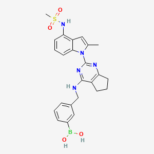 molecular formula C24H26BN5O4S B12383081 VCP/p97 inhibitor-1 