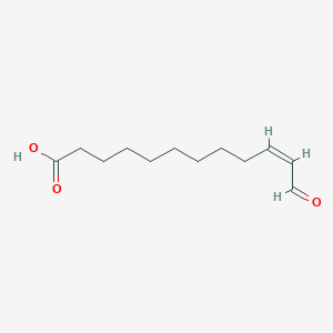molecular formula C12H20O3 B1238329 12-oxo-10Z-dodecenoic acid 