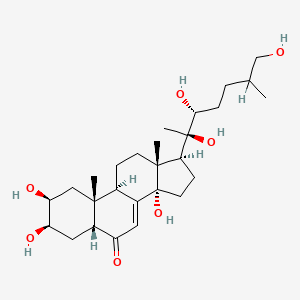 Inokosterone