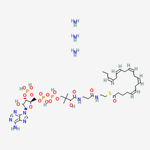 molecular formula C41H73N10O17P3S B12383830 Eicosapentaenoyl-CoA (triammonium) 