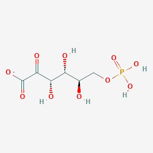 6-phospho-2-dehydro-D-gluconate(1-)