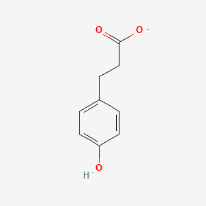 molecular formula C9H9O3- B1238394 Phloretate 