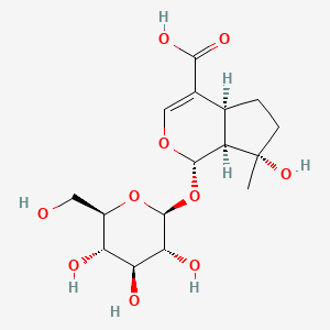 molecular formula C16H24O10 B12384079 Mussaenosidic acid CAS No. 82451-22-7