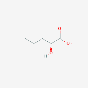 molecular formula C6H11O3- B1238455 (R)-2-羟基-4-甲基戊酸 