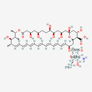 molecular formula C47H73NO17 B12384558 Amphotericin B-13C6 