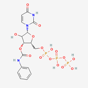 molecular formula C16H20N3O16P3 B12384691 [(2R,3R,5R)-5-(2,4-dioxopyrimidin-1-yl)-4-hydroxy-2-[[hydroxy-[hydroxy(phosphonooxy)phosphoryl]oxyphosphoryl]oxymethyl]oxolan-3-yl] N-phenylcarbamate 