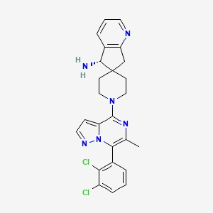 molecular formula C25H24Cl2N6 B12384717 Shp2-IN-17 