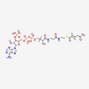 molecular formula C26H40N7O19P3S B1238485 5-{[2-(3-{3-[({[({[5-(6-amino-9H-purin-9-yl)-4-hydroxy-3-(phosphonooxy)oxolan-2-yl]methoxy}(hydroxy)phosphoryl)oxy](hydroxy)phosphoryl}oxy)methyl]-2-hydroxy-3-methylbutanamido}propanamido)ethyl]sulfanyl}-5-oxopent-3-enoic acid 
