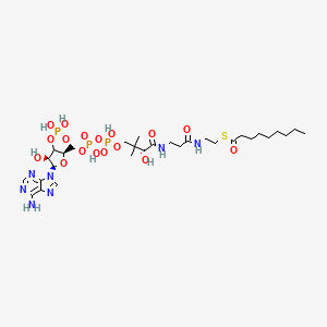 molecular formula C30H52N7O17P3S B12385139 S-[2-[3-[[(2R)-4-[[[(2R,4S,5R)-5-(6-aminopurin-9-yl)-4-hydroxy-3-phosphonooxyoxolan-2-yl]methoxy-hydroxyphosphoryl]oxy-hydroxyphosphoryl]oxy-2-hydroxy-3,3-dimethylbutanoyl]amino]propanoylamino]ethyl] nonanethioate 