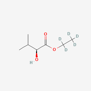 molecular formula C7H14O3 B12385236 Ethyl (S)-2-hydroxy-3-methylbutyrate-d5 