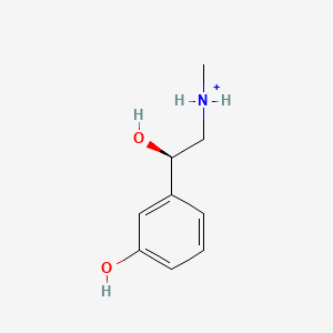 molecular formula C9H14NO2+ B1238548 Phenylephrine(1+) 