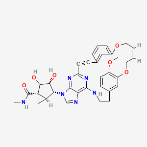 molecular formula C34H34N6O6 B12385586 A3AR agonist 2 