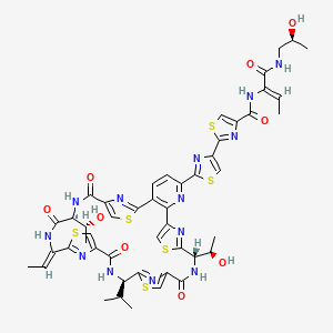 molecular formula C48H49N13O9S6 B1238564 2-[2-[(12S,19R,26Z,29S)-26-ethylidene-12,29-bis[(1R)-1-hydroxyethyl]-14,21,28,31-tetraoxo-19-propan-2-yl-10,17,24,34-tetrathia-6,13,20,27,30,35,36,37,38-nonazahexacyclo[30.2.1.18,11.115,18.122,25.02,7]octatriaconta-1(35),2(7),3,5,8,11(38),15,18(37),22,25(36),32-undecaen-5-yl]-1,3-thiazol-4-yl]-N-[(Z)-1-[[(2S)-2-hydroxypropyl]amino]-1-oxobut-2-en-2-yl]-1,3-thiazole-4-carboxamide 