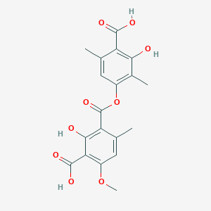 molecular formula C19H18O9 B1238575 Squamatic acid 