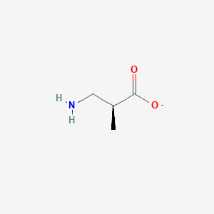 molecular formula C4H8NO2- B1238586 β-氨基异丁酸 