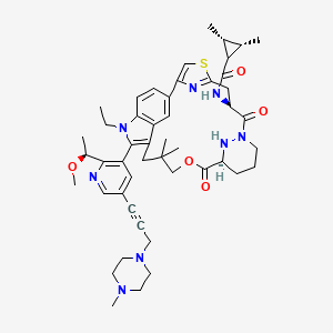 molecular formula C48H62N8O5S B12385920 pan-KRAS-IN-9 