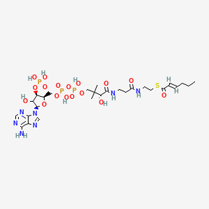 S-[2-[3-[[(2R)-4-[[[(2R,3R,5R)-5-(6-aminopurin-9-yl)-4-hydroxy-3-phosphonooxyoxolan-2-yl]methoxy-hydroxyphosphoryl]oxy-hydroxyphosphoryl]oxy-2-hydroxy-3,3-dimethylbutanoyl]amino]propanoylamino]ethyl] (E)-hex-2-enethioate