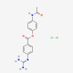 molecular formula C16H17ClN4O3 B1238605 4'-Acetamidophenyl 4-guanidinobenzoate hydrochloride CAS No. 79119-49-6