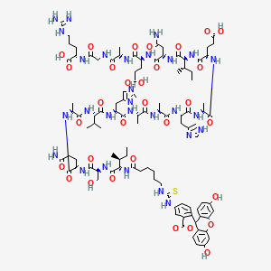 molecular formula C101H142N28O31S B12386194 Fitc-ova (323-339) 