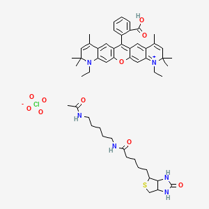 molecular formula C53H69ClN6O10S B12386210 N-(5-acetamidopentyl)-5-(2-oxo-1,3,3a,4,6,6a-hexahydrothieno[3,4-d]imidazol-4-yl)pentanamide;2-(6,20-diethyl-7,7,9,17,19,19-hexamethyl-2-oxa-20-aza-6-azoniapentacyclo[12.8.0.03,12.05,10.016,21]docosa-1(14),3,5,8,10,12,15,17,21-nonaen-13-yl)benzoic acid;perchlorate 