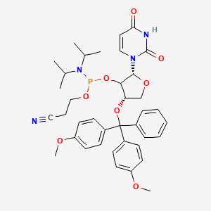 molecular formula C38H45N4O8P B12386518 DMTr-TNA-U-amidite 