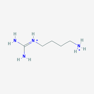 molecular formula C5H16N4+2 B1238663 Agmatinium(2+) 