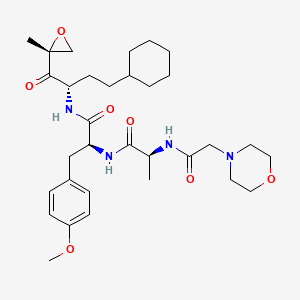 Proteasome |A2c/i-IN-1