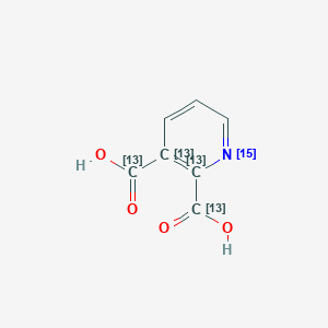 molecular formula C7H5NO4 B12386662 (2,3-13C2,115N)pyridine-2,3-dicarboxylic acid 