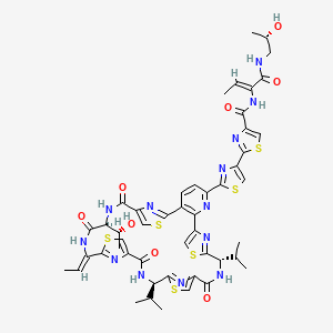 molecular formula C49H51N13O8S6 B1238668 Thiocillin 