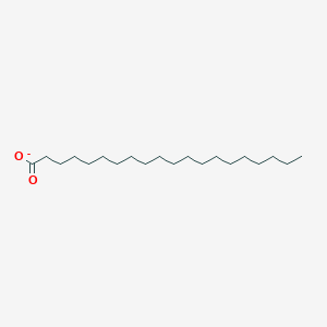 molecular formula C20H39O2- B1238690 Arachidate 