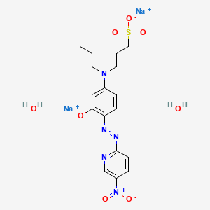 molecular formula C17H23N5Na2O8S B12386968 Nitro-PAPS (disodium dihydrate) 