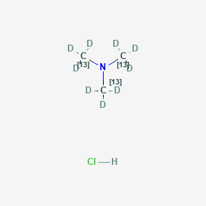 Trimethylammonium chloride-13c3,d9