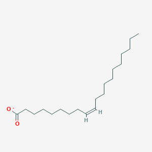 molecular formula C20H37O2- B1238755 加多利酸 