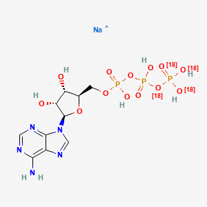 molecular formula C10H16N5NaO13P3 B12387581 ATP-18O4 (disodium salt) 