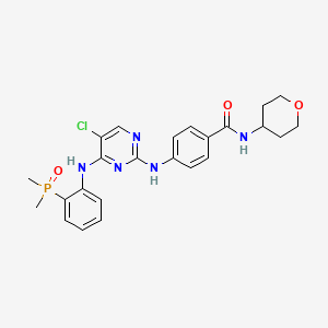 molecular formula C24H27ClN5O3P B12387589 Fak-IN-17 