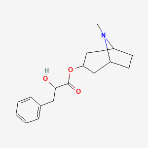 molecular formula C17H23NO3 B12387612 Benzenepropanoic acid, alpha-hydroxy-, 8-methyl-8-azabicyclo[3.2.1]oct-3-yl ester, [3(R)-endo]- 