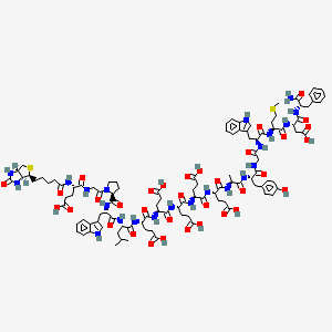 molecular formula C107H140N22O34S2 B12387812 Biotin-Gastrin-1, human (1-17) 