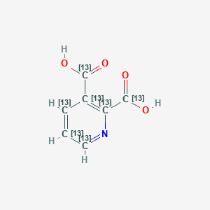 molecular formula C7H5NO4 B12388085 (2,3,4,5,6-13C5)pyridine-2,3-dicarboxylic acid 