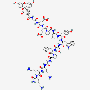 molecular formula C102H129N19O26 B12388166 FAM-Srctide 