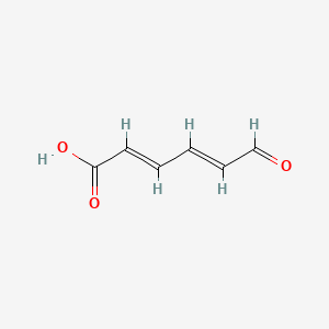 molecular formula C6H6O3 B1238832 6-Oxo-trans,trans-2,4-hexadienoic acid CAS No. 88973-46-0