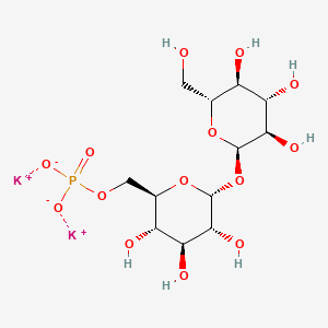 molecular formula C12H21K2O14P B12389111 dipotassium;[(2R,3S,4S,5R,6R)-3,4,5-trihydroxy-6-[(2R,3R,4S,5S,6R)-3,4,5-trihydroxy-6-(hydroxymethyl)oxan-2-yl]oxyoxan-2-yl]methyl phosphate 