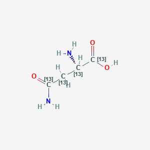 L-Asparagine-1,2,3,4-13C4 (monohydrate)