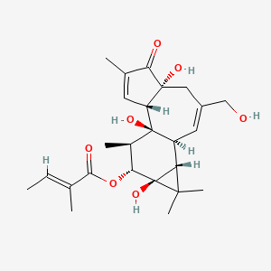 molecular formula C25H34O7 B12389216 Phorbol 12-tiglate 