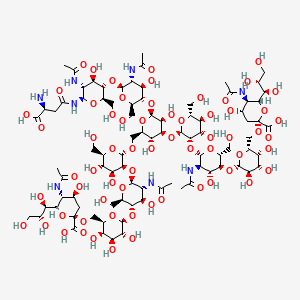 molecular formula C88H144N8O64 B12389353 Disialo-Asn 