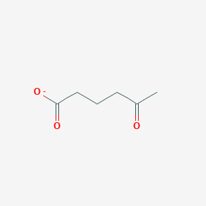 molecular formula C6H9O3- B1238966 5-Oxohexanoate 