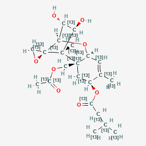 molecular formula C22H32O8 B12389755 HT-2 Toxin-13C22 